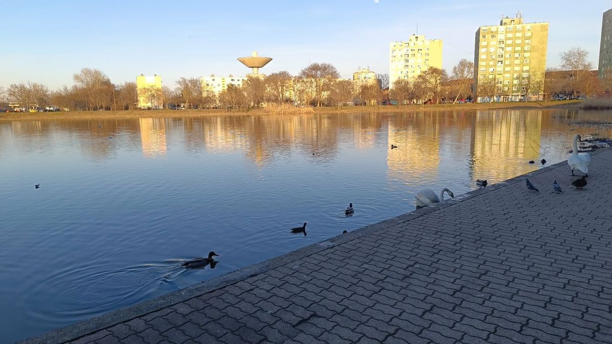 Jó reggelt Szeged: összegyűjtöttük a legfontosabb információkat Szegedről