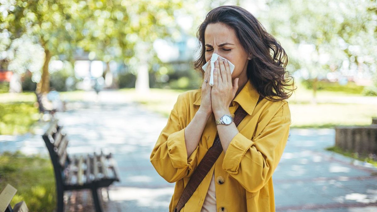 A korai meleg miatt hirtelen megugrott a pollen koncentrációja a szegedi levegőben. Fotó: Illusztráció