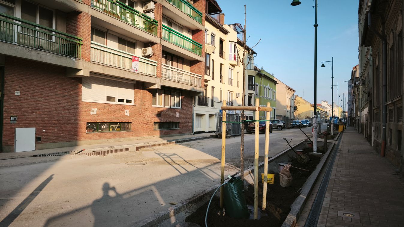Újabb mérföldkő: több mint egy év után ismét vannak fák a Gogol utcában +videó
