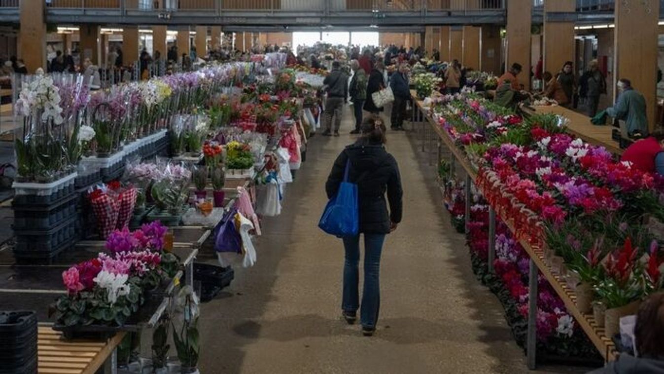 Ennyibe kerül a nőnapi virág Szegeden: körkép a Mars téri piacról