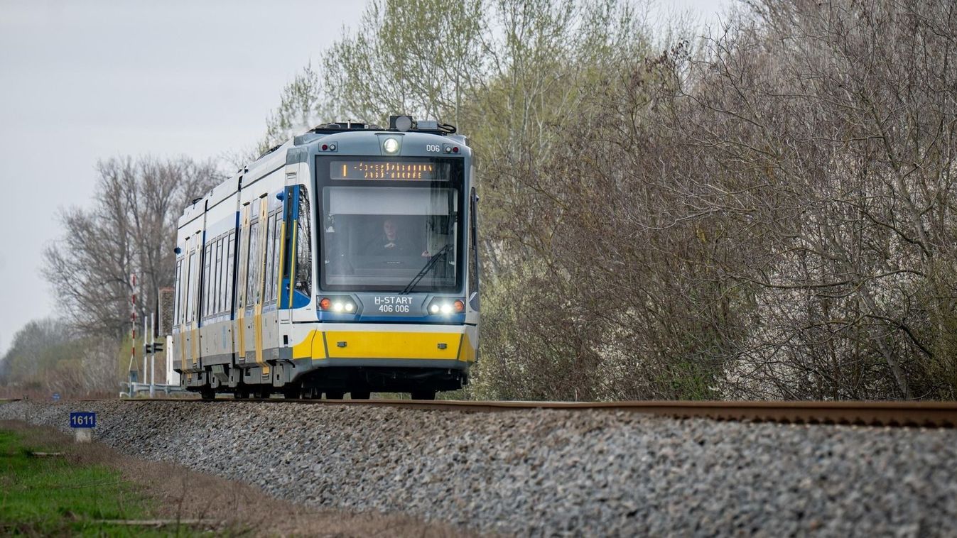 Gázolás miatt állt meg a tram-train közlekedés Szeged térségében