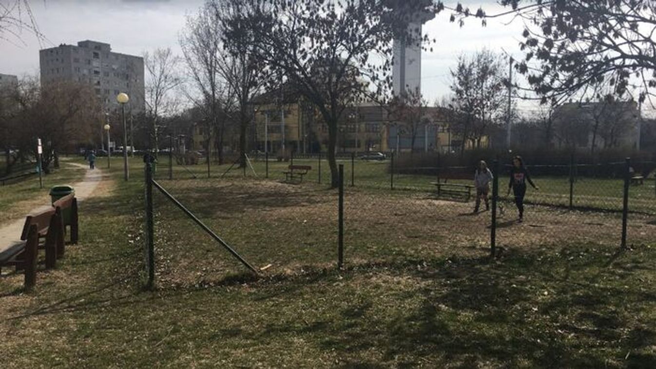 Szegedi kutyafuttatók: szemét, csikkek és ürülék miatt panaszkodnak