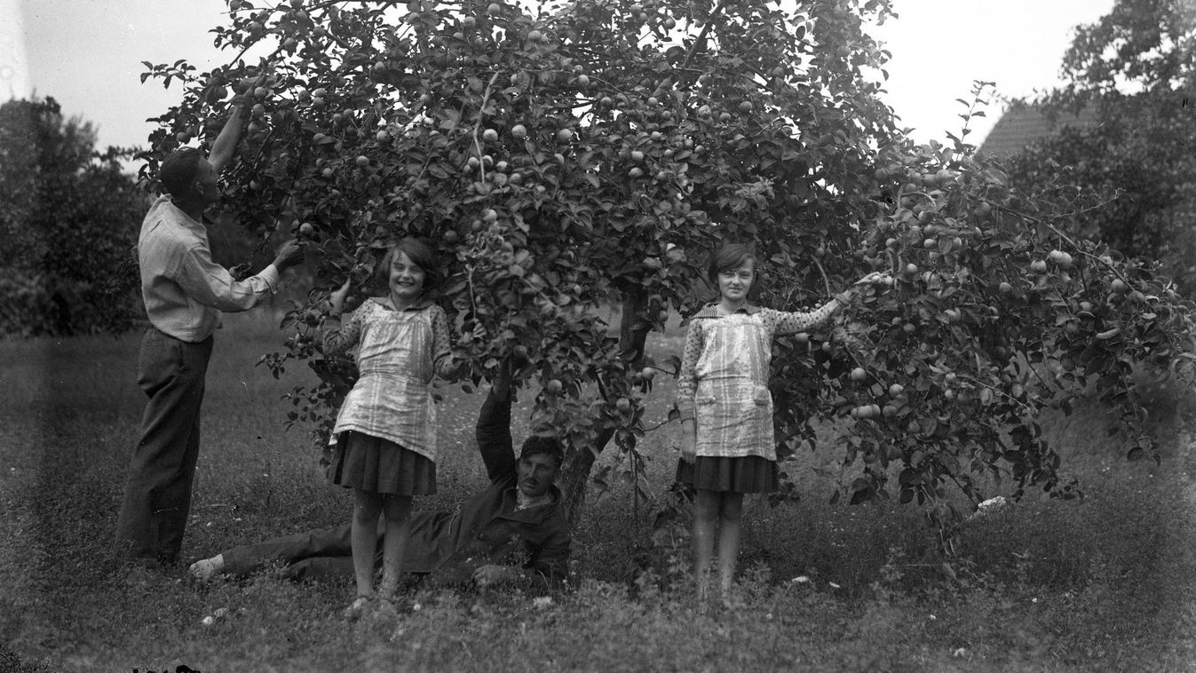 A tavaszi megújulás ünnepe: Gyümölcsoltó Boldogasszony hagyományai Szegeden