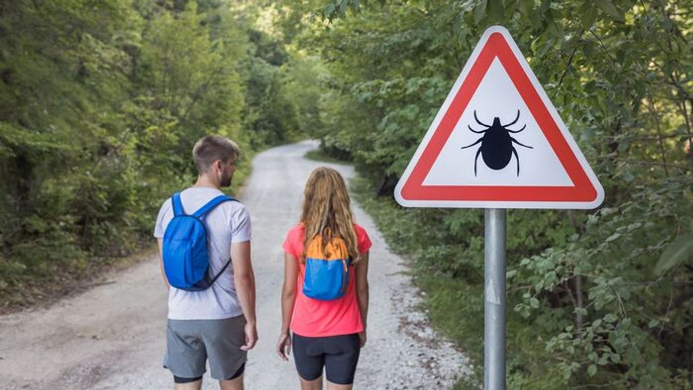 Új vérszívó jelent meg hazánkban, ezt érdemes tudni róla