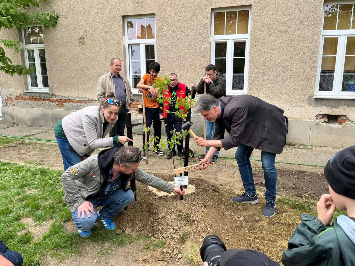 A közös ültetés után a friss facsemete lett az iskolaudvar legújabb dísze. Fotó: Facebook