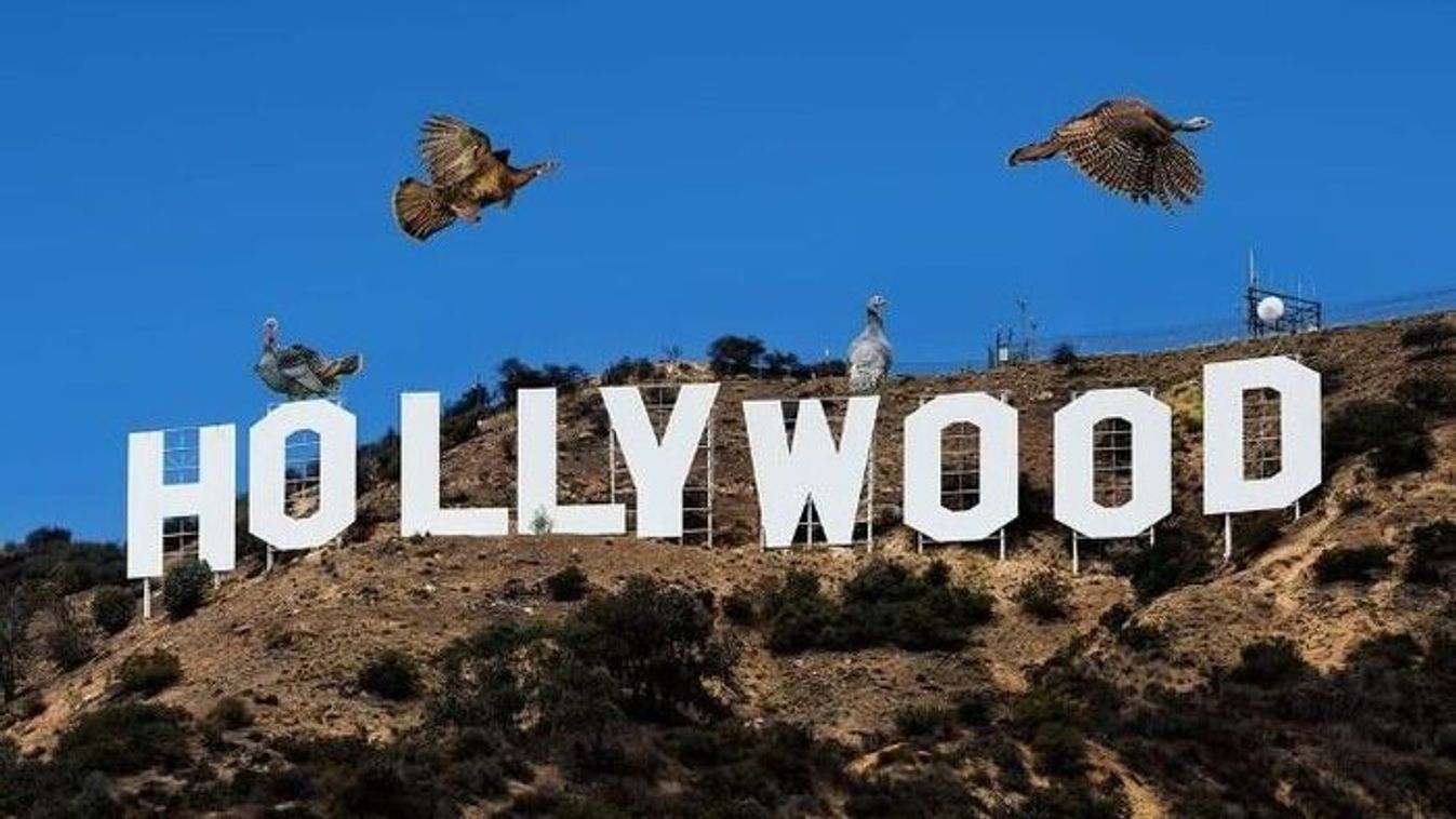 A Dűnétől a Mátrixig: SZTE-s múlt a hollywoodi sikerek mögött