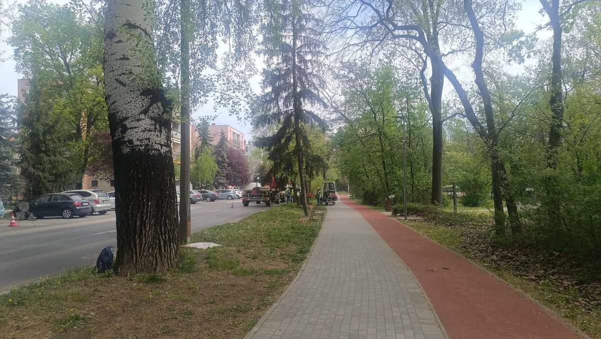 MVM-munkák kezdődtek Újszegeden