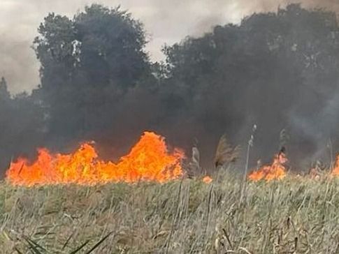 Lángok a szegedi határban: pusztító tűz emésztette a baktói nádast