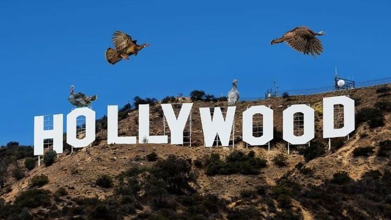 A Dűnétől a Mátrixig: SZTE-s múlt a hollywoodi sikerek mögött