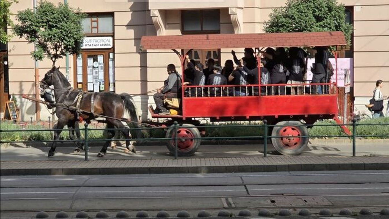 Végzősök szerenádja miatt forgalmi korlátozás várható szerdán Szegeden