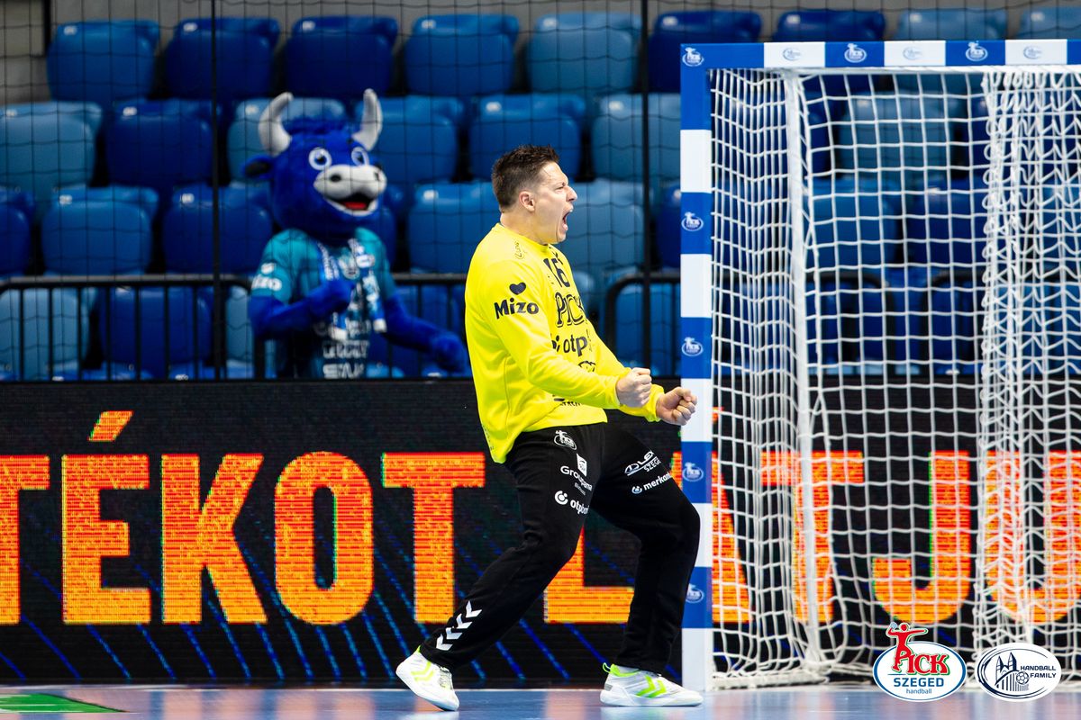 Mikler Roland kettős győzelmet aratna a lengyelek felett. (Fotó: Sólya Eliza)