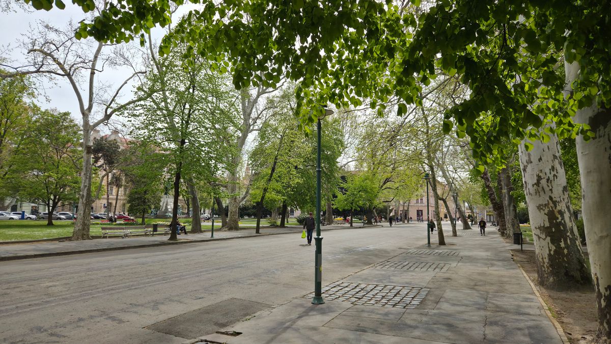A tavaszi szezonban a levegőben szálló pollen sokaknak okoz panaszt. Fotó: SzegedMA