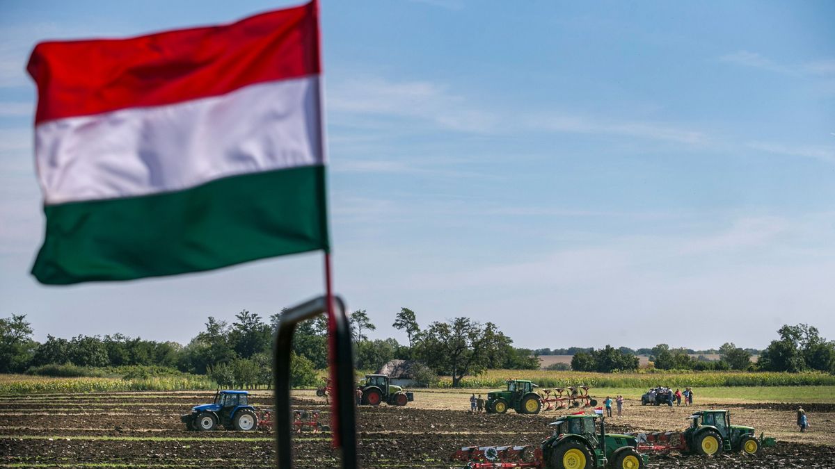 Miért kockáztatnánk a jelenlegi, jól működő modellt a Tisza Párt gazdákat ellehetetlenítő terveiért?