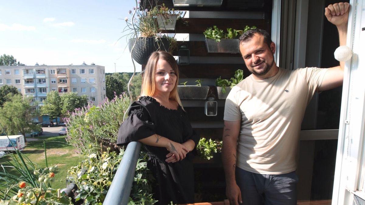 A balkonkertészet ma már messze nem különlegesség, hanem egyre több városi otthon része