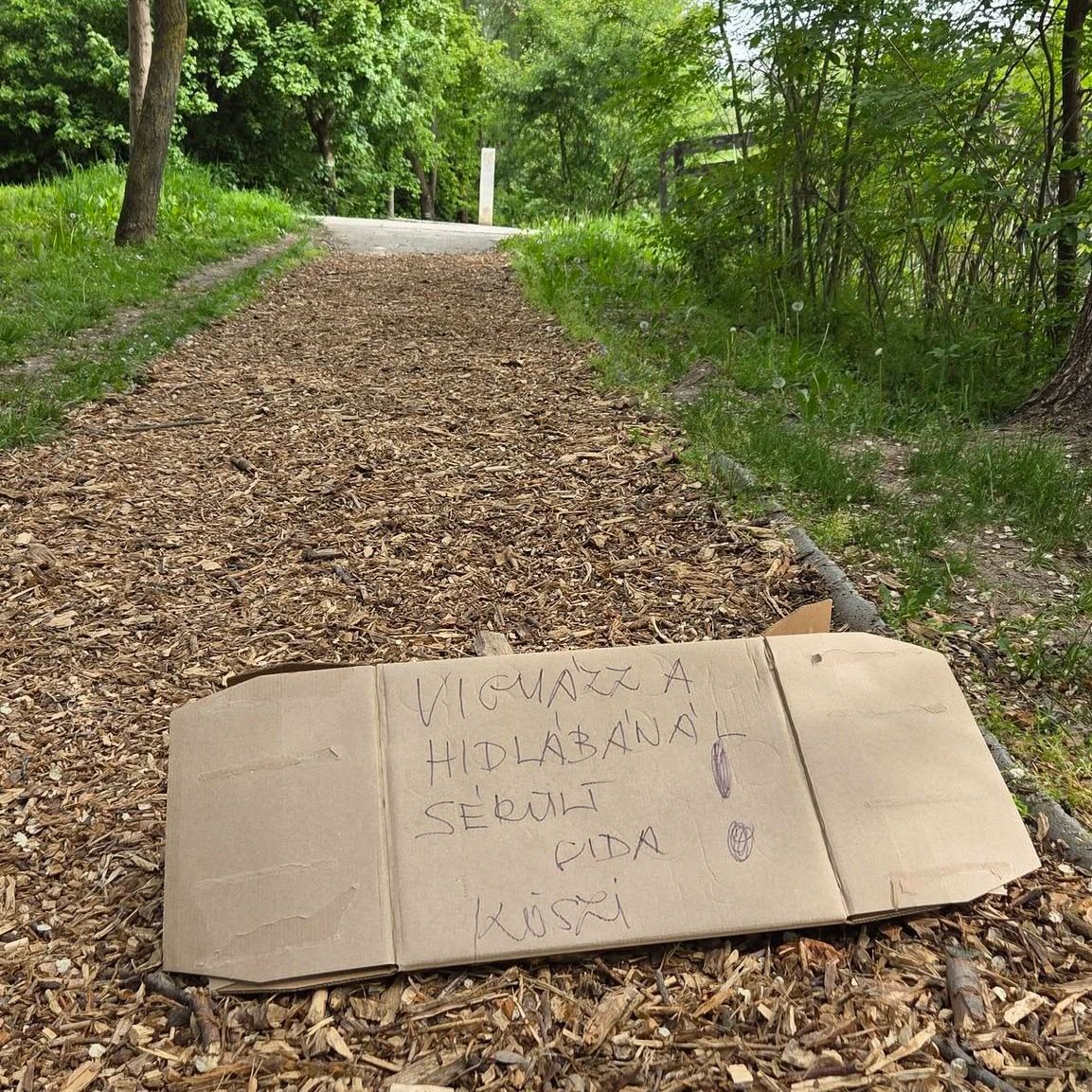 A Vadaspark szakemberei úton voltak, de az őzgida a helyszínen elhullott. Fotó: Facebook