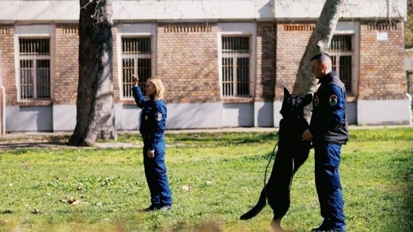 A kiberbiztonság és kutyás bemutató volt a középpontban a szegedi technikumban
