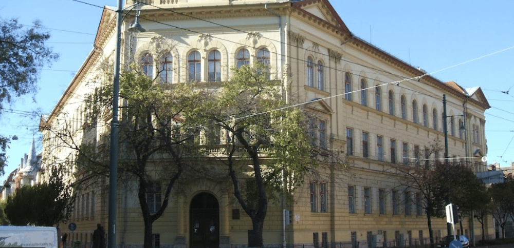 Már a negyedik OKTV-győzelmet ünnepelhetik a szegediek. Fotó: eduline.hu