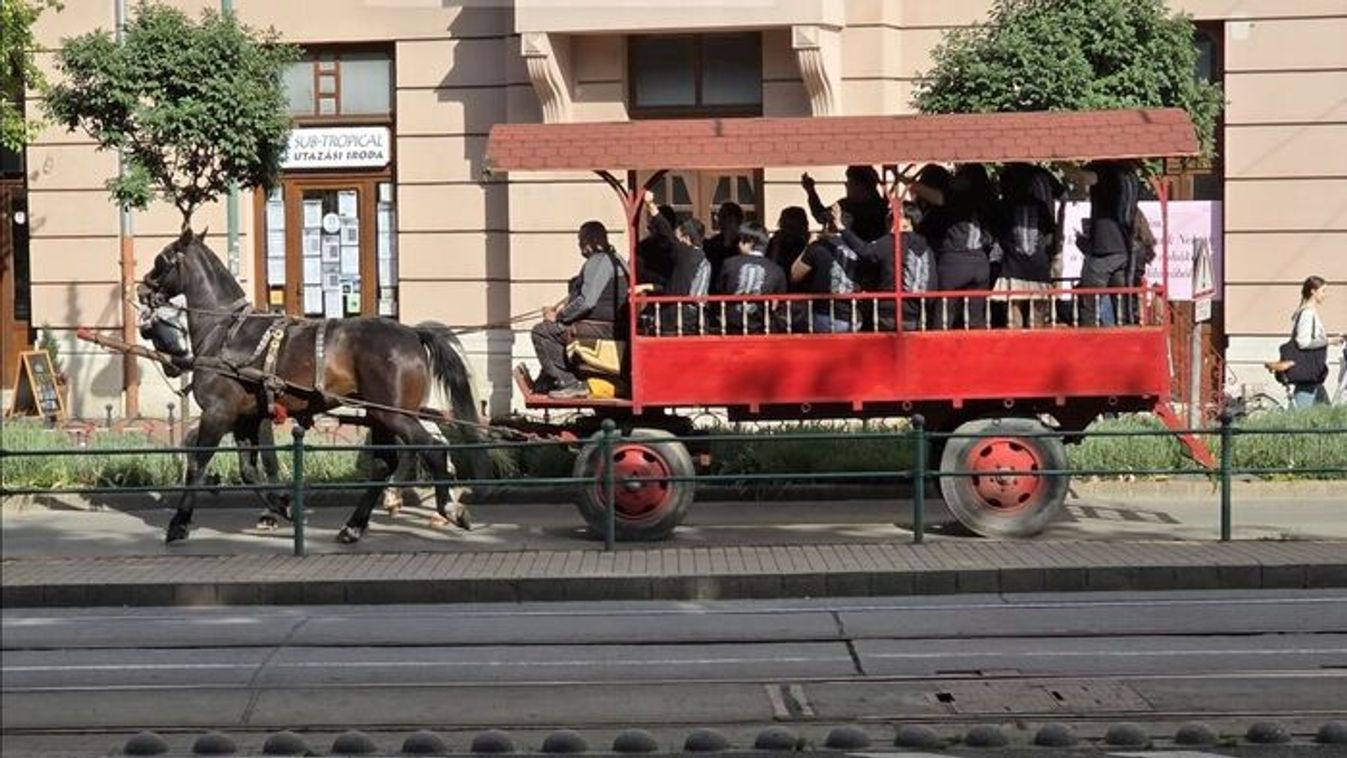 Szegedi szerenád: több útvonalon is fennakadások jöhetnek