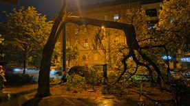 Vihar Szegeden: balesetveszélyes helyzet alakult ki +fotók