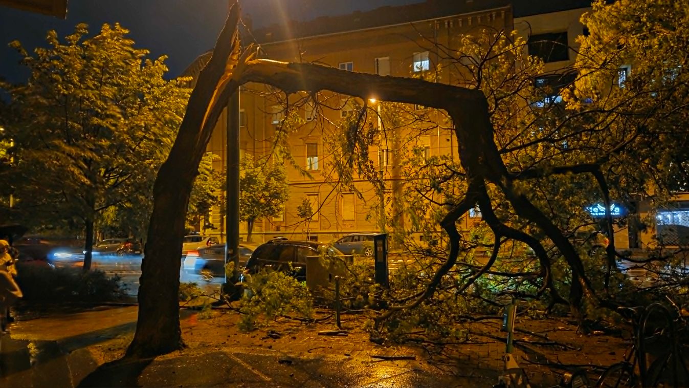 Vihar Szegeden: balesetveszélyes helyzet alakult ki +fotók