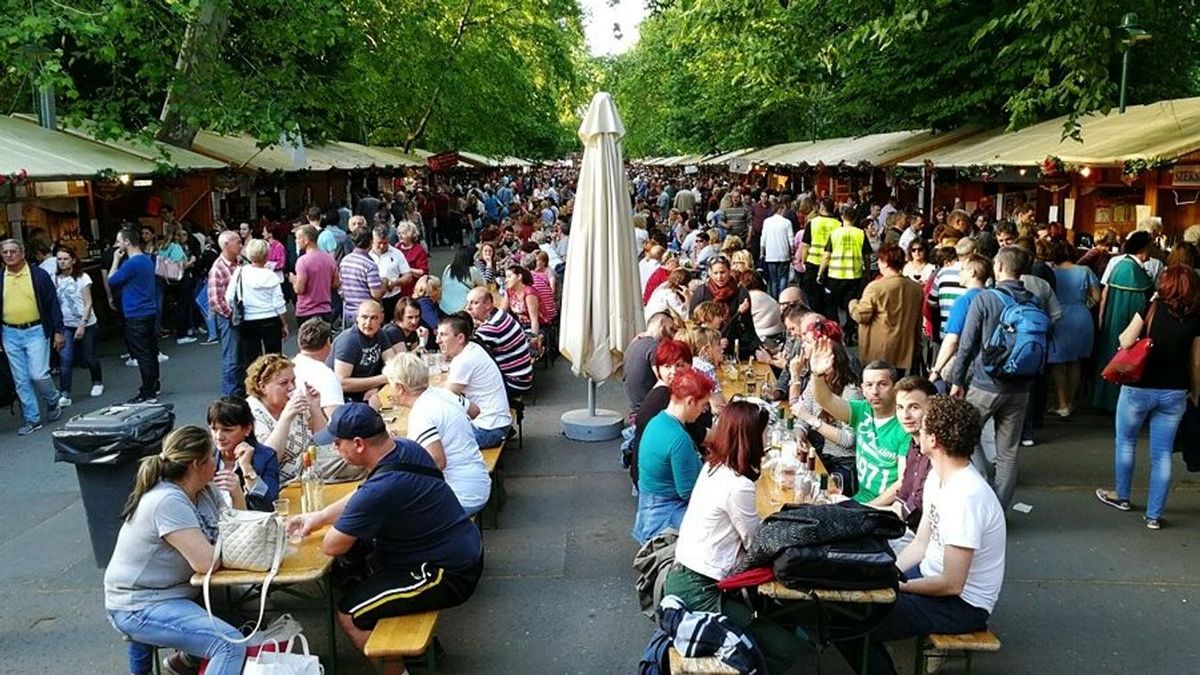 Harmincadik alkalommal tér vissza Szeged egyik legnagyobb közösségi eseménye, a Borfesztivál