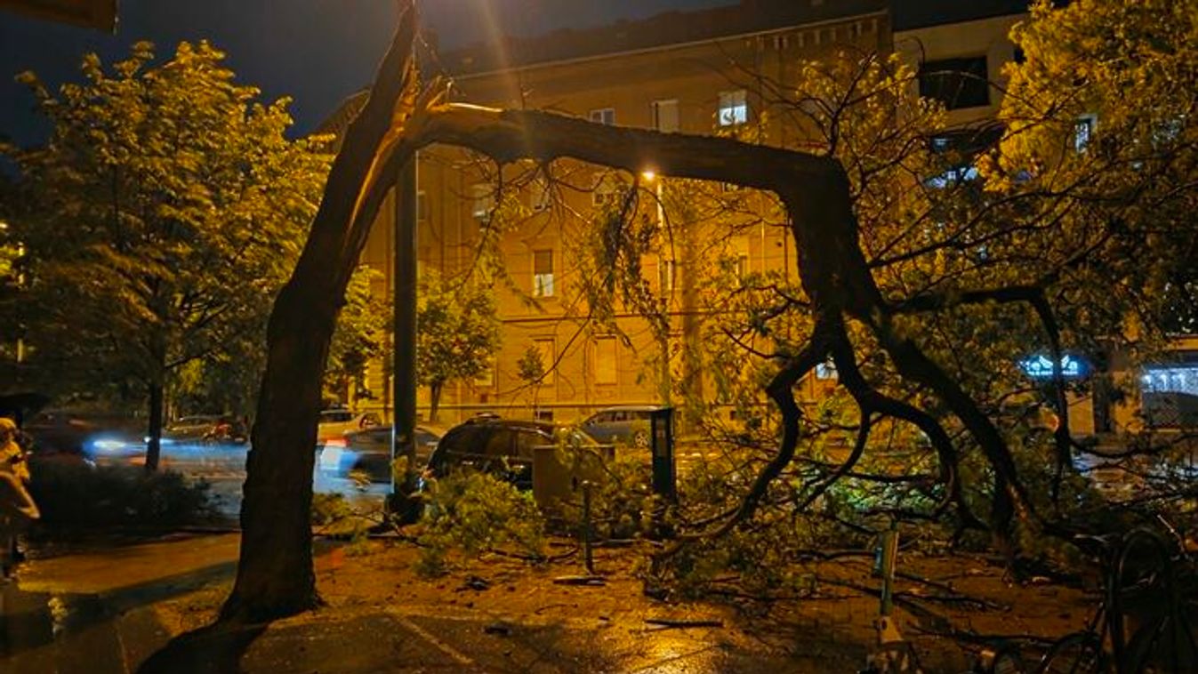 Vihar Szegeden: balesetveszélyes helyzet alakult ki +fotók