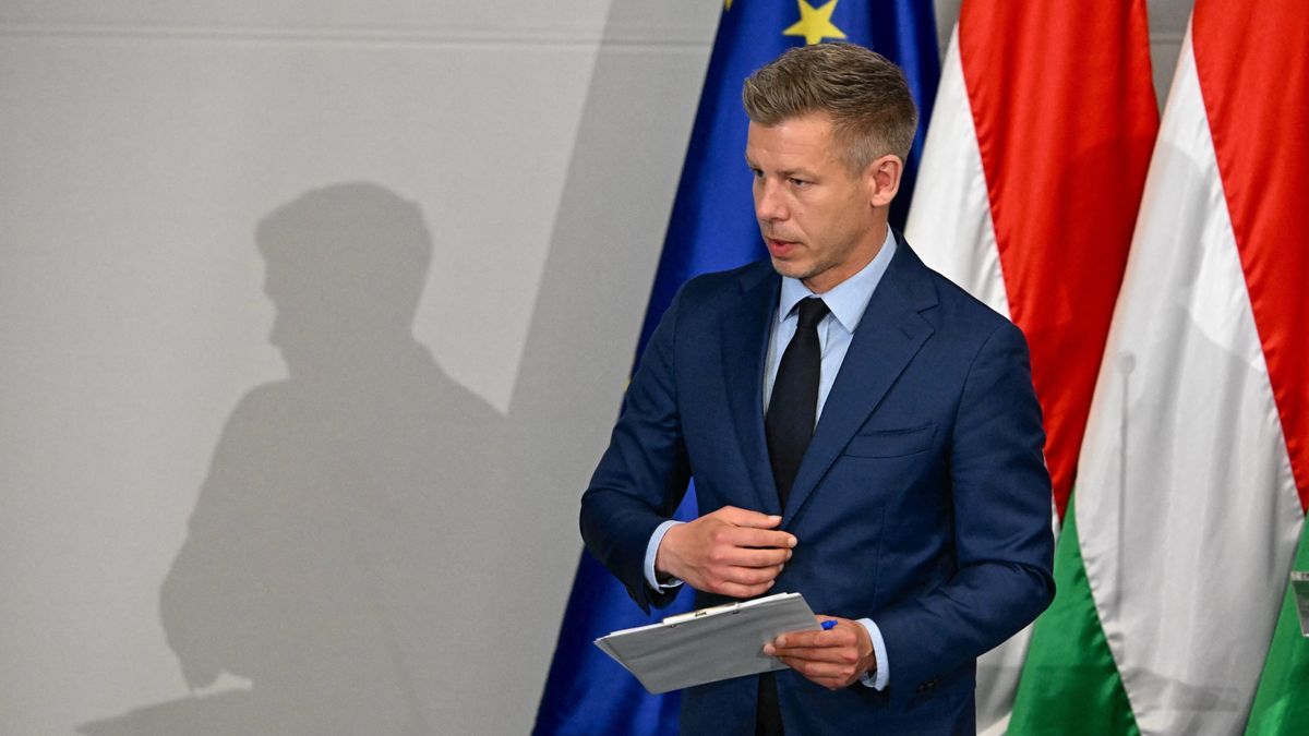 Magyar Péter, a Tisza Párt elnöke