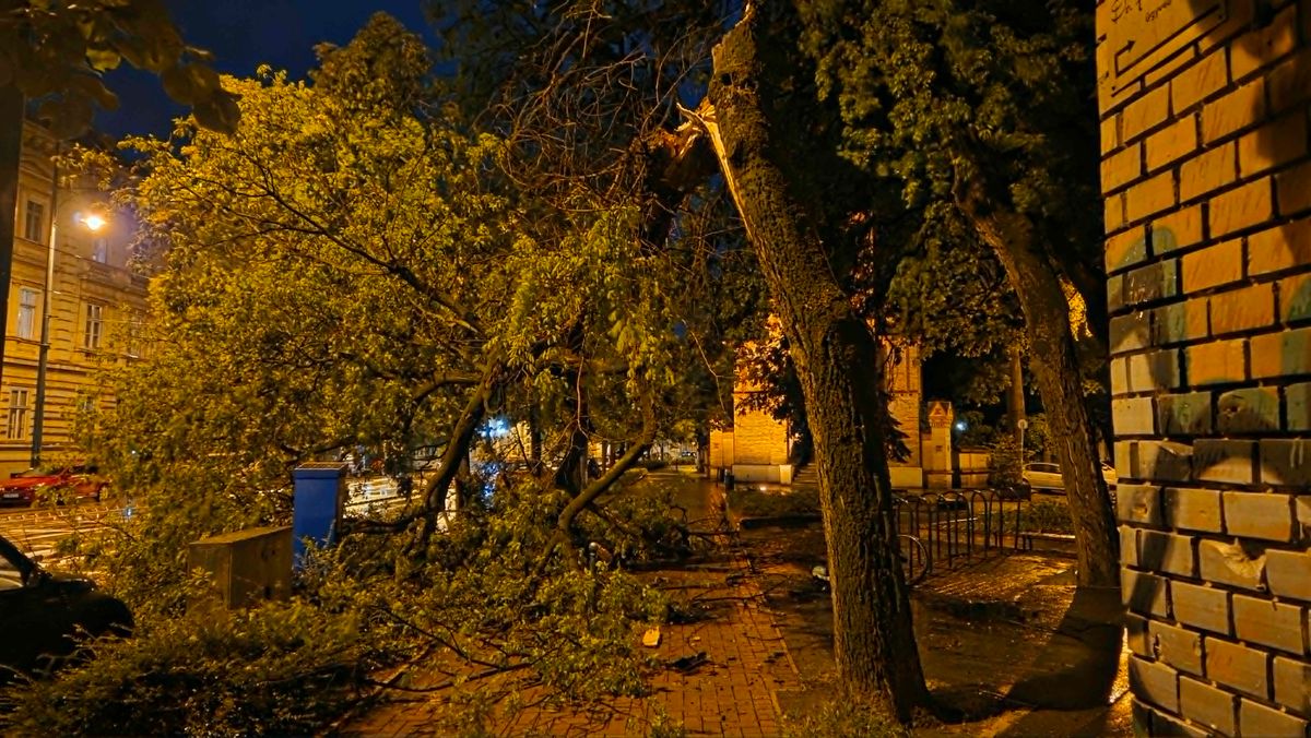 Kidőlt fa nehezítette a közlekedést Szegeden