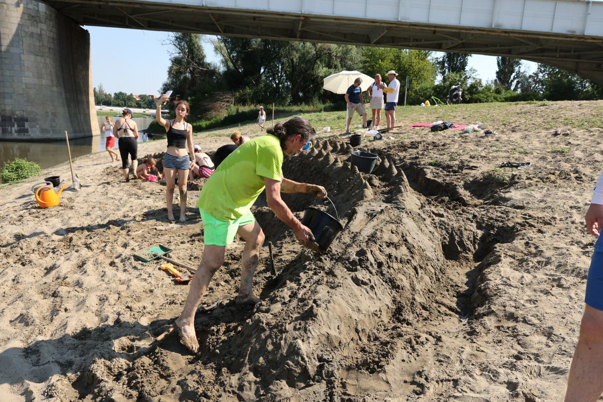 Gyerekek és felnőttek közös munkájával idén is elkészült a Lapos Beach legendás homokkrokodilja. Fotó: Karnok Csaba